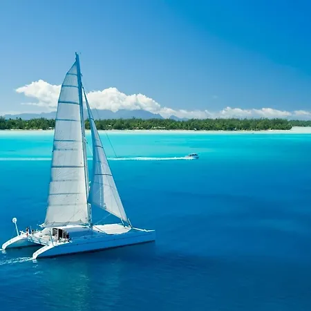 In A Catamaran Botel *